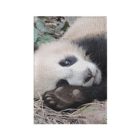 Обложка для паспорта матовая кожа с принтом Лапка панда в Кировске, натуральная матовая кожа | размер 19,3 х 13,7 см; прозрачные пластиковые крепления | бамбук | животное | медведь