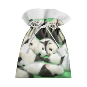 Подарочный 3D мешок с принтом Новорожденные панды в Кировске, 100% полиэстер | Размер: 29*39 см | бамбук | животное | медведь