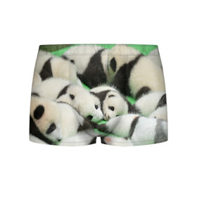 Мужские трусы 3D с принтом Новорожденные панды в Кировске, 50% хлопок, 50% полиэстер | классическая посадка, на поясе мягкая тканевая резинка | Тематика изображения на принте: бамбук | животное | медведь