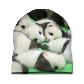Шапка 3D с принтом Новорожденные панды в Кировске, 100% полиэстер | универсальный размер, печать по всей поверхности изделия | бамбук | животное | медведь