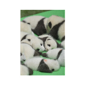 Обложка для паспорта матовая кожа с принтом Новорожденные панды в Кировске, натуральная матовая кожа | размер 19,3 х 13,7 см; прозрачные пластиковые крепления | бамбук | животное | медведь