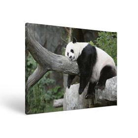 Холст прямоугольный с принтом Большая уставшая панда в Кировске, 100% ПВХ |  | бамбук | животное | медведь