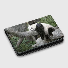 Картхолдер с принтом с принтом Большая уставшая панда в Кировске, натуральная матовая кожа | размер 7,3 х 10 см; кардхолдер имеет 4 кармана для карт; | бамбук | животное | медведь