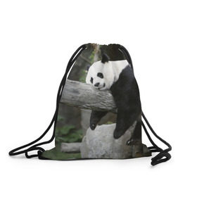 Рюкзак-мешок 3D с принтом Большая уставшая панда в Кировске, 100% полиэстер | плотность ткани — 200 г/м2, размер — 35 х 45 см; лямки — толстые шнурки, застежка на шнуровке, без карманов и подкладки | бамбук | животное | медведь