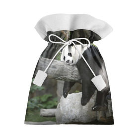 Подарочный 3D мешок с принтом Большая уставшая панда в Кировске, 100% полиэстер | Размер: 29*39 см | бамбук | животное | медведь