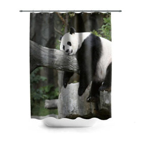 Штора 3D для ванной с принтом Большая уставшая панда в Кировске, 100% полиэстер | плотность материала — 100 г/м2. Стандартный размер — 146 см х 180 см. По верхнему краю — пластиковые люверсы для креплений. В комплекте 10 пластиковых колец | бамбук | животное | медведь