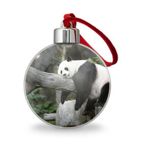 Ёлочный шар с принтом Большая уставшая панда в Кировске, Пластик | Диаметр: 77 мм | бамбук | животное | медведь