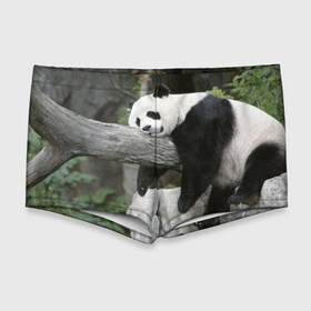Мужские купальные плавки 3D с принтом Большая уставшая панда в Кировске, Полиэстер 85%, Спандекс 15% |  | Тематика изображения на принте: бамбук | животное | медведь