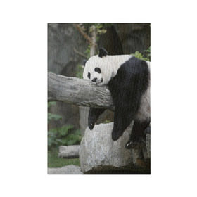 Обложка для паспорта матовая кожа с принтом Большая уставшая панда в Кировске, натуральная матовая кожа | размер 19,3 х 13,7 см; прозрачные пластиковые крепления | бамбук | животное | медведь