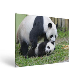 Холст прямоугольный с принтом Мамочка и сыночек панды в Кировске, 100% ПВХ |  | бамбук | животное | медведь