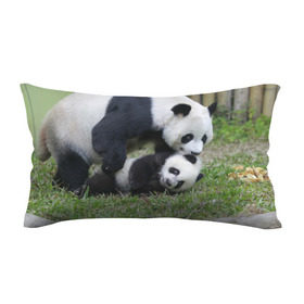 Подушка 3D антистресс с принтом Мамочка и сыночек панды в Кировске, наволочка — 100% полиэстер, наполнитель — вспененный полистирол | состоит из подушки и наволочки на молнии | бамбук | животное | медведь