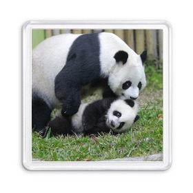 Магнит 55*55 с принтом Мамочка и сыночек панды в Кировске, Пластик | Размер: 65*65 мм; Размер печати: 55*55 мм | бамбук | животное | медведь