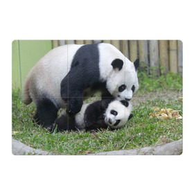 Магнитный плакат 3Х2 с принтом Мамочка и сыночек панды в Кировске, Полимерный материал с магнитным слоем | 6 деталей размером 9*9 см | бамбук | животное | медведь