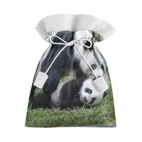 Подарочный 3D мешок с принтом Мамочка и сыночек панды в Кировске, 100% полиэстер | Размер: 29*39 см | бамбук | животное | медведь