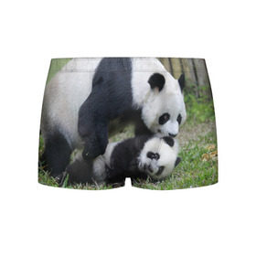 Мужские трусы 3D с принтом Мамочка и сыночек панды в Кировске, 50% хлопок, 50% полиэстер | классическая посадка, на поясе мягкая тканевая резинка | Тематика изображения на принте: бамбук | животное | медведь