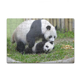 Пазл магнитный 126 элементов с принтом Мамочка и сыночек панды в Кировске, полимерный материал с магнитным слоем | 126 деталей, размер изделия —  180*270 мм | бамбук | животное | медведь