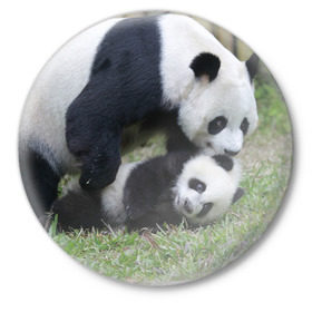 Значок с принтом Мамочка и сыночек панды в Кировске,  металл | круглая форма, металлическая застежка в виде булавки | бамбук | животное | медведь