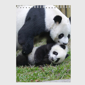 Скетчбук с принтом Мамочка и сыночек панды в Кировске, 100% бумага
 | 48 листов, плотность листов — 100 г/м2, плотность картонной обложки — 250 г/м2. Листы скреплены сверху удобной пружинной спиралью | бамбук | животное | медведь