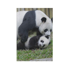 Обложка для паспорта матовая кожа с принтом Мамочка и сыночек панды в Кировске, натуральная матовая кожа | размер 19,3 х 13,7 см; прозрачные пластиковые крепления | бамбук | животное | медведь