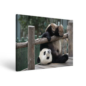 Холст прямоугольный с принтом Паркур панда в Кировске, 100% ПВХ |  | бамбук | животное | медведь
