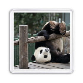Магнит 55*55 с принтом Паркур панда в Кировске, Пластик | Размер: 65*65 мм; Размер печати: 55*55 мм | бамбук | животное | медведь