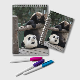 Блокнот с принтом Паркур панда в Кировске, 100% бумага | 48 листов, плотность листов — 60 г/м2, плотность картонной обложки — 250 г/м2. Листы скреплены удобной пружинной спиралью. Цвет линий — светло-серый
 | Тематика изображения на принте: бамбук | животное | медведь