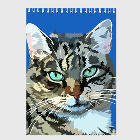 Скетчбук с принтом Котэ в Кировске, 100% бумага
 | 48 листов, плотность листов — 100 г/м2, плотность картонной обложки — 250 г/м2. Листы скреплены сверху удобной пружинной спиралью | cat | взгляд | глаза | животные | киска | кот | котёнок | кошка