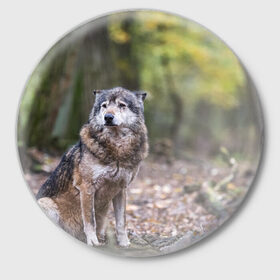 Значок с принтом Серый волк в Кировске,  металл | круглая форма, металлическая застежка в виде булавки | бирюк | волк | волчара | волчица | волчок | глаза | животное | животные | зверь | зеленые | койот | лес | млекопитающее | природа | санитар леса | серый | уши | фауна | хищник | черный | шакал