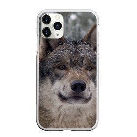 Чехол для iPhone 11 Pro матовый с принтом Серый волк в Кировске, Силикон |  | бирюк | волк | волчара | волчица | волчок | глаза | животное | животные | зверь | зеленые | койот | лес | млекопитающее | природа | санитар леса | серый | уши | фауна | хищник | черный | шакал