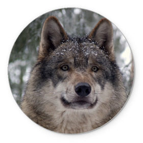 Коврик круглый с принтом Серый волк в Кировске, резина и полиэстер | круглая форма, изображение наносится на всю лицевую часть | Тематика изображения на принте: бирюк | волк | волчара | волчица | волчок | глаза | животное | животные | зверь | зеленые | койот | лес | млекопитающее | природа | санитар леса | серый | уши | фауна | хищник | черный | шакал