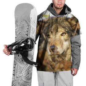 Накидка на куртку 3D с принтом Волк в Кировске, 100% полиэстер |  | бирюк | волк | волчара | волчица | волчок | глаза | животное | животные | зверь | зеленые | койот | лес | млекопитающее | природа | санитар леса | серый | уши | фауна | хищник | черный | шакал