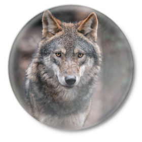 Значок с принтом Волк - санитар леса в Кировске,  металл | круглая форма, металлическая застежка в виде булавки | серый
