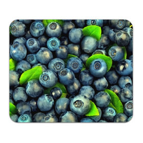 Коврик прямоугольный с принтом Голубика в Кировске, натуральный каучук | размер 230 х 185 мм; запечатка лицевой стороны | blueberry | голубика | черника | ягоды