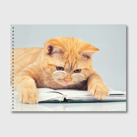 Альбом для рисования с принтом Кот ученый в Кировске, 100% бумага
 | матовая бумага, плотность 200 мг. | грустный | добрый | животное | киса | киска | кот | котенок | котэ | кошка | красивый | лапа | лапка | ласковый | милый | очки | прикольный | рыжий | смешной | унылый | усатый | шерсть