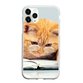 Чехол для iPhone 11 Pro матовый с принтом Кот ученый в Кировске, Силикон |  | грустный | добрый | животное | киса | киска | кот | котенок | котэ | кошка | красивый | лапа | лапка | ласковый | милый | очки | прикольный | рыжий | смешной | унылый | усатый | шерсть