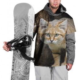 Накидка на куртку 3D с принтом Песчаный кот в Кировске, 100% полиэстер |  | грустный | добрый | животное | киса | киска кися | кот | котенок | котэ | кошка | красивый | лапа | лапка | ласковый | милый | моська | мурлыка | прикольный | смешной | унылый | усатый | шерсть