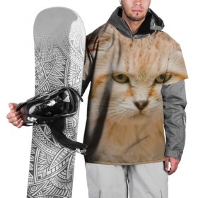 Накидка на куртку 3D с принтом Рыжий кот в Кировске, 100% полиэстер |  | грустный | добрый | животное | киса | киска кися | кот | котенок | котэ | кошка | красивый | лапа | лапка | ласковый | милый | моська | мурлыка | прикольный | смешной | унылый | усатый | шерсть