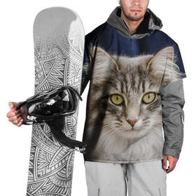 Накидка на куртку 3D с принтом Серый кот в Кировске, 100% полиэстер |  | Тематика изображения на принте: грустный | добрый | животное | киса | киска кися | кот | котенок | котэ | кошка | красивый | лапа | лапка | ласковый | милый | моська | мурлыка | прикольный | смешной | унылый | усатый | шерсть