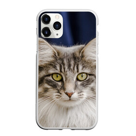 Чехол для iPhone 11 Pro Max матовый с принтом Серый кот в Кировске, Силикон |  | грустный | добрый | животное | киса | киска кися | кот | котенок | котэ | кошка | красивый | лапа | лапка | ласковый | милый | моська | мурлыка | прикольный | смешной | унылый | усатый | шерсть