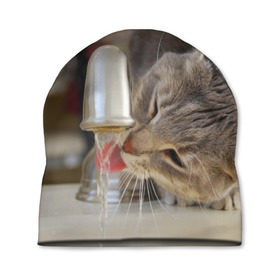 Шапка 3D с принтом Кот пьющий воду из под крана в Кировске, 100% полиэстер | универсальный размер, печать по всей поверхности изделия | Тематика изображения на принте: 