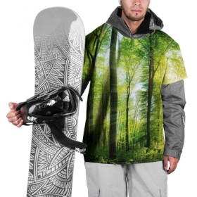 Накидка на куртку 3D с принтом Солнечный лес в Кировске, 100% полиэстер |  | деревья | зелень | лес | лето | лучи солнца | солнце | тайга