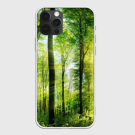 Чехол для iPhone 12 Pro Max с принтом Солнечный лес в Кировске, Силикон |  | деревья | зелень | лес | лето | лучи солнца | солнце | тайга