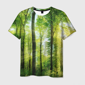 Мужская футболка 3D с принтом Солнечный лес в Кировске, 100% полиэфир | прямой крой, круглый вырез горловины, длина до линии бедер | Тематика изображения на принте: деревья | зелень | лес | лето | лучи солнца | солнце | тайга