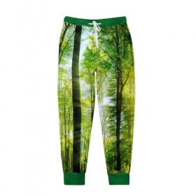 Мужские брюки 3D с принтом Солнечный лес в Кировске, 100% полиэстер | манжеты по низу, эластичный пояс регулируется шнурком, по бокам два кармана без застежек, внутренняя часть кармана из мелкой сетки | деревья | зелень | лес | лето | лучи солнца | солнце | тайга