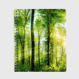 Тетрадь с принтом Солнечный лес в Кировске, 100% бумага | 48 листов, плотность листов — 60 г/м2, плотность картонной обложки — 250 г/м2. Листы скреплены сбоку удобной пружинной спиралью. Уголки страниц и обложки скругленные. Цвет линий — светло-серый
 | Тематика изображения на принте: деревья | зелень | лес | лето | лучи солнца | солнце | тайга