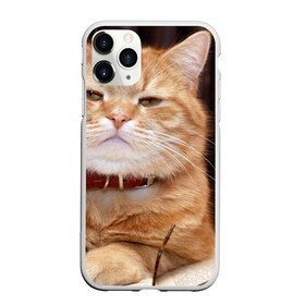 Чехол для iPhone 11 Pro Max матовый с принтом Рыжий кот в Кировске, Силикон |  | грустный | добрый | животное | киса | киска кися | кот | котенок | котэ | кошка | красивый | лапа | лапка | ласковый | милый | моська | мурлыка | прикольный | смешной | унылый | усатый | шерсть