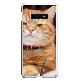 Чехол для Samsung S10E с принтом Рыжий кот в Кировске, Силикон | Область печати: задняя сторона чехла, без боковых панелей | грустный | добрый | животное | киса | киска кися | кот | котенок | котэ | кошка | красивый | лапа | лапка | ласковый | милый | моська | мурлыка | прикольный | смешной | унылый | усатый | шерсть