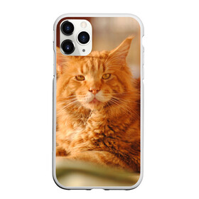 Чехол для iPhone 11 Pro матовый с принтом Рыжий кот в Кировске, Силикон |  | грустный | добрый | животное | киса | киска кися | кот | котенок | котэ | кошка | красивый | лапа | лапка | ласковый | милый | моська | мурлыка | прикольный | смешной | унылый | усатый | шерсть