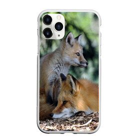 Чехол для iPhone 11 Pro матовый с принтом Лиса и лесенок в Кировске, Силикон |  | fox | животное | зверь | красивая | лес | лис | лиса | лисенок | лисица | лисичка | мех | патрикеевна | песец | плутовка | прикольная | природа | рыжая | рыжий цвет | сказка | хвост | хитрая | хищник