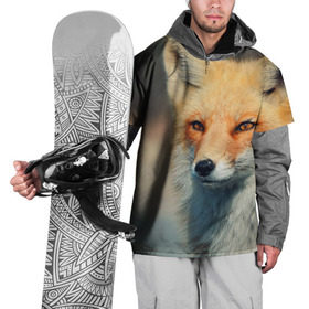 Накидка на куртку 3D с принтом Лисица в Кировске, 100% полиэстер |  | fox | животное | зверь | красивая | лес | лис | лиса | лисенок | лисица | лисичка | мех | патрикеевна | песец | плутовка | прикольная | природа | рыжая | рыжий цвет | сказка | хвост | хитрая | хищник